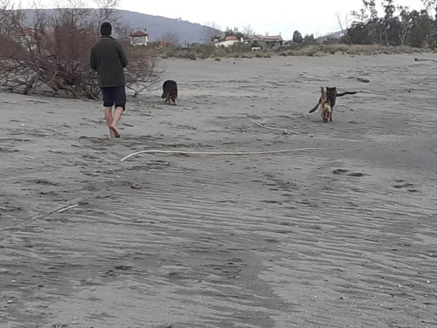 Villa Tzortzakos by Maniland