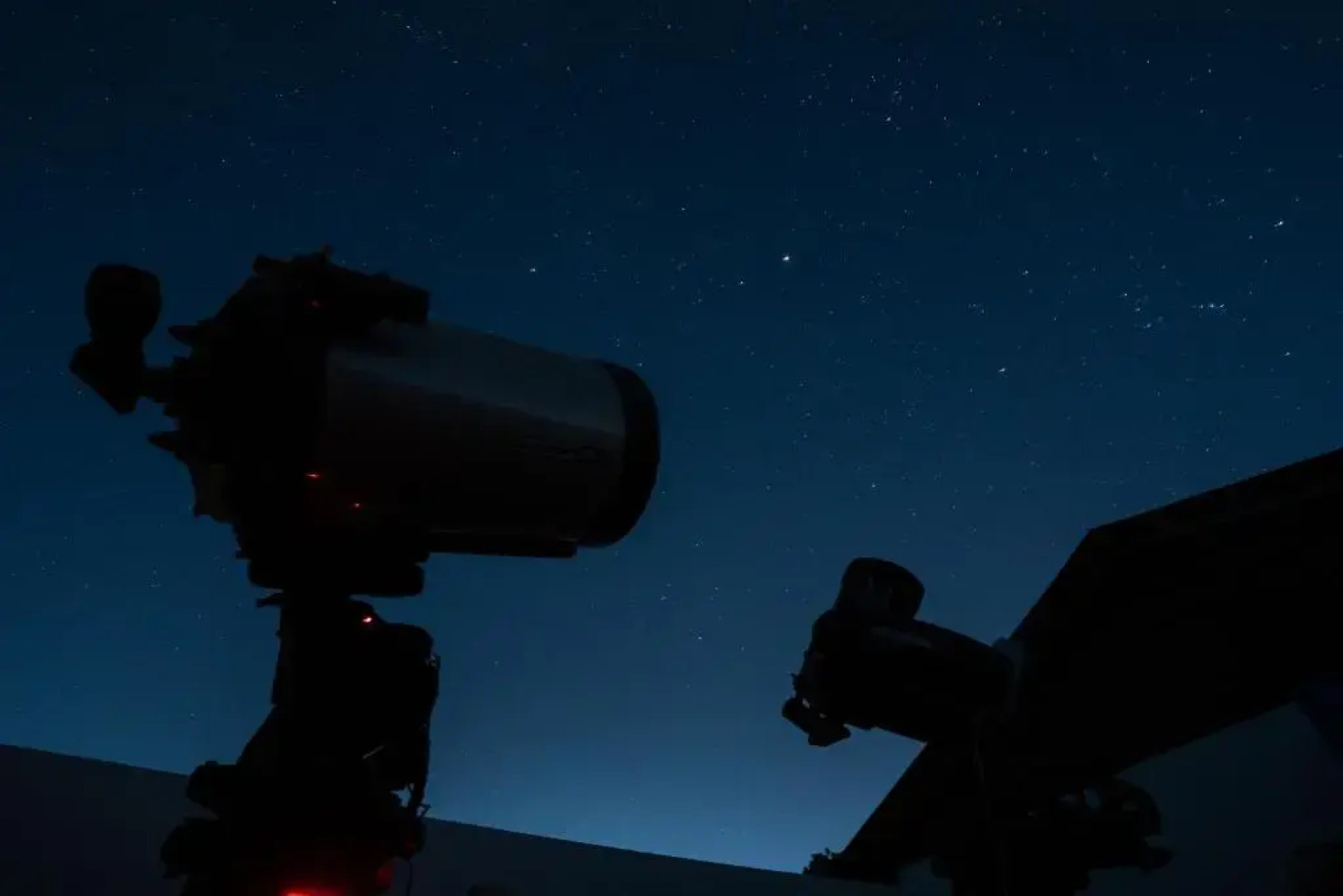 Tree of Life Homestead Corbett Country