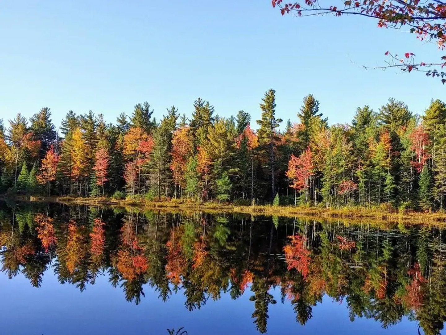 Tentrr - Pondwood Pines in Wonalancet