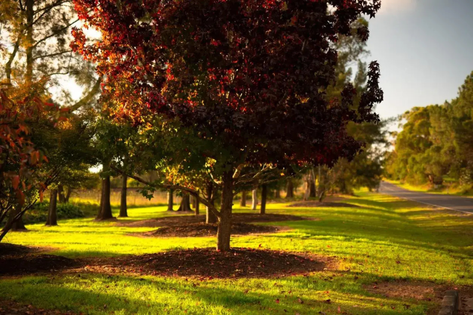 Bundanoon Country Inn Motel