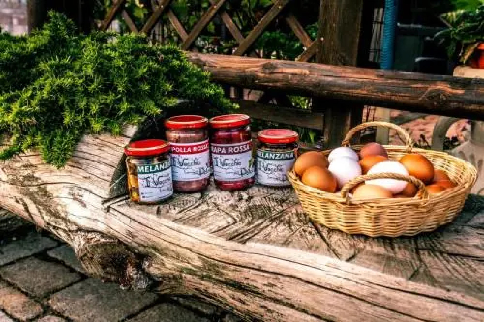 Agriturismo Il Vecchio Pollaio