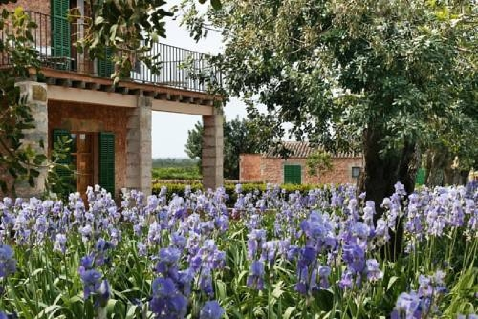 Hotel Rural Son Bernadinet