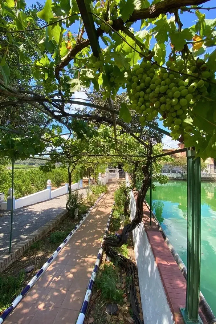 Room-🌿algarrobo Room, Your Corner of ca