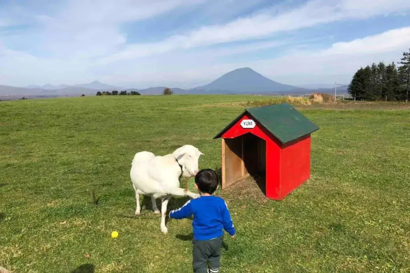 Manyi’s Onsen House