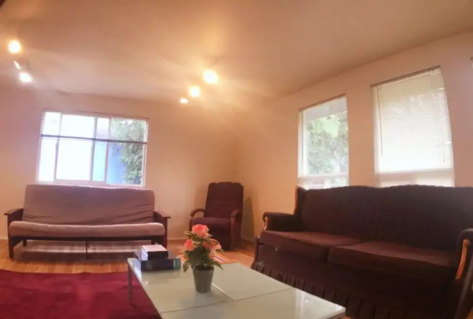 Seattle Urban Village