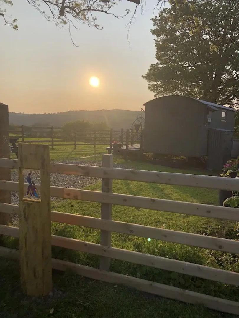 The Peacock Shepherds Hut at Hafoty Boeth