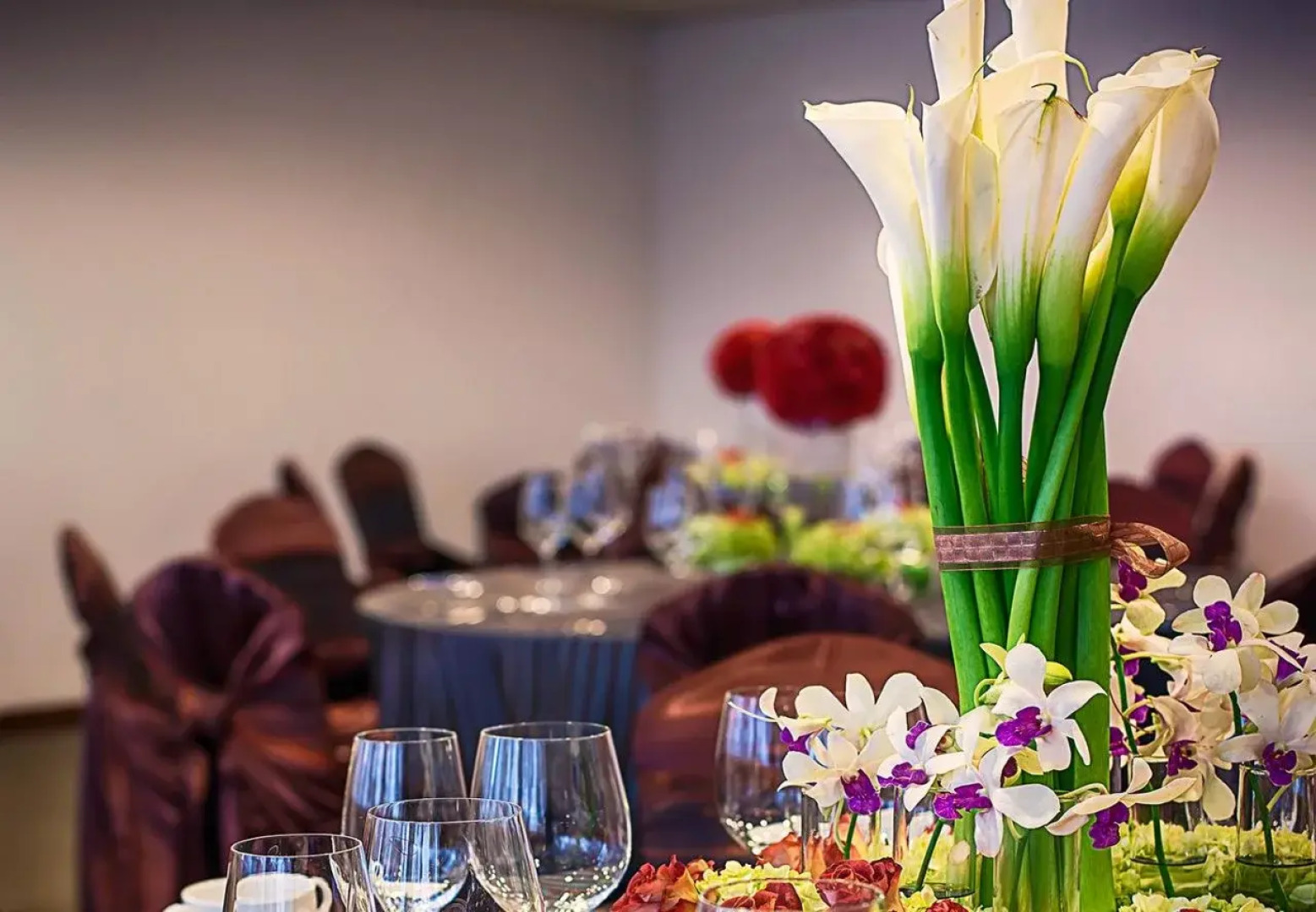 Tryp San Jose Sabana