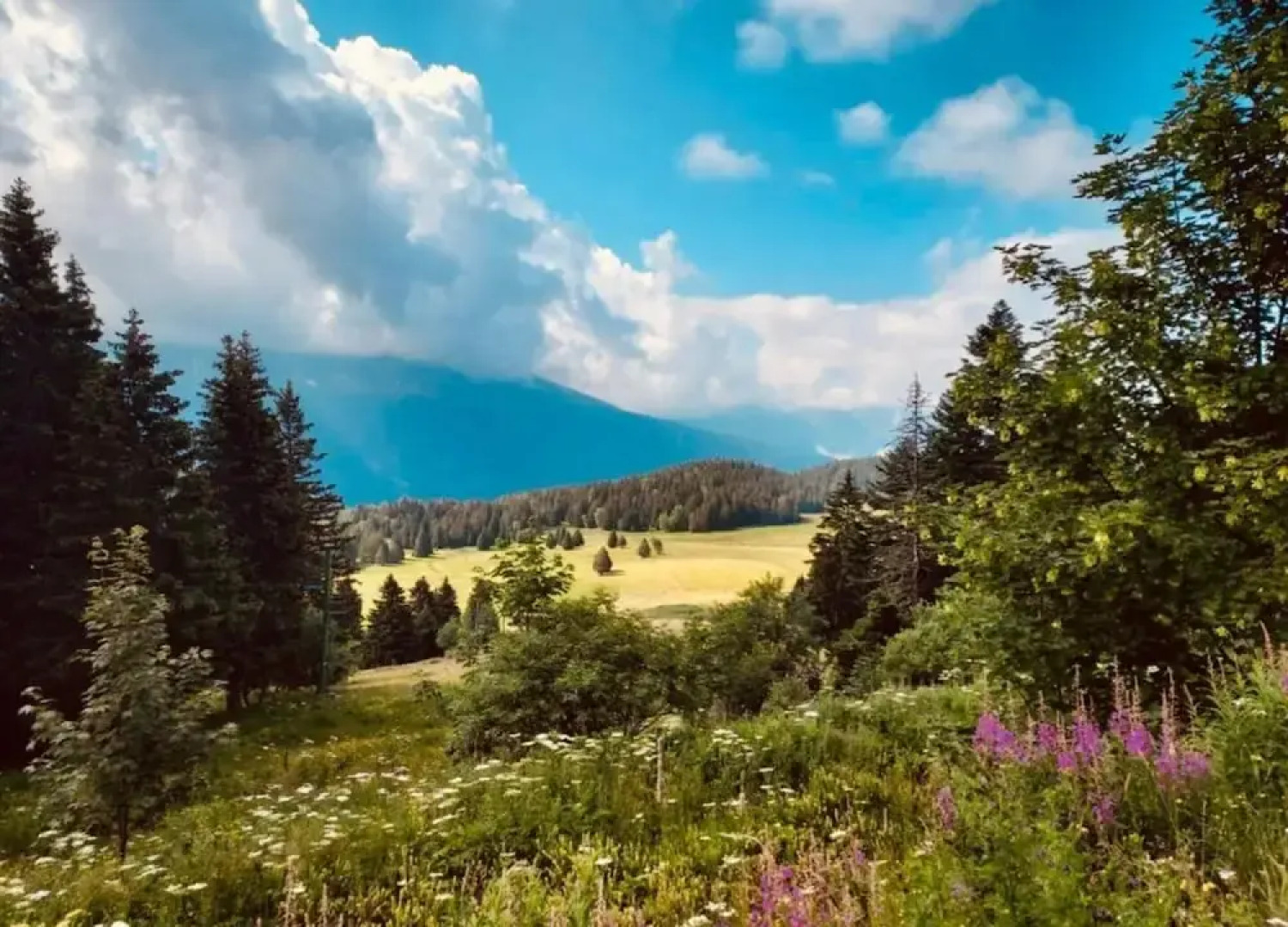 Studio in Chamrousse Near Ski Resort