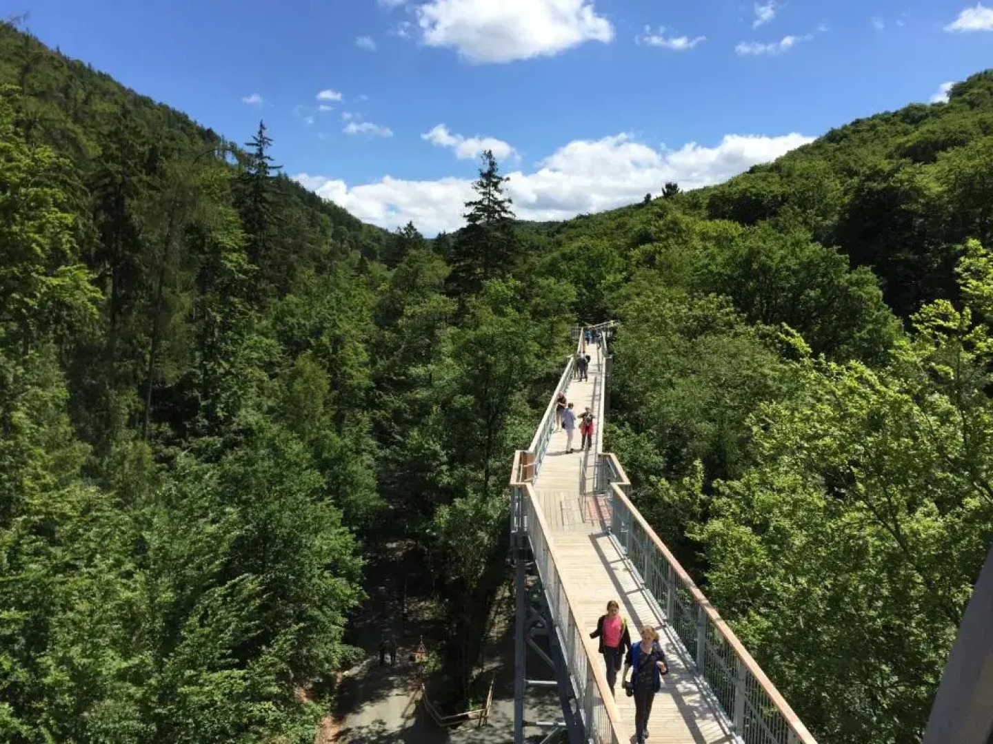 Blockhaus an der Skiwiese Braunlage