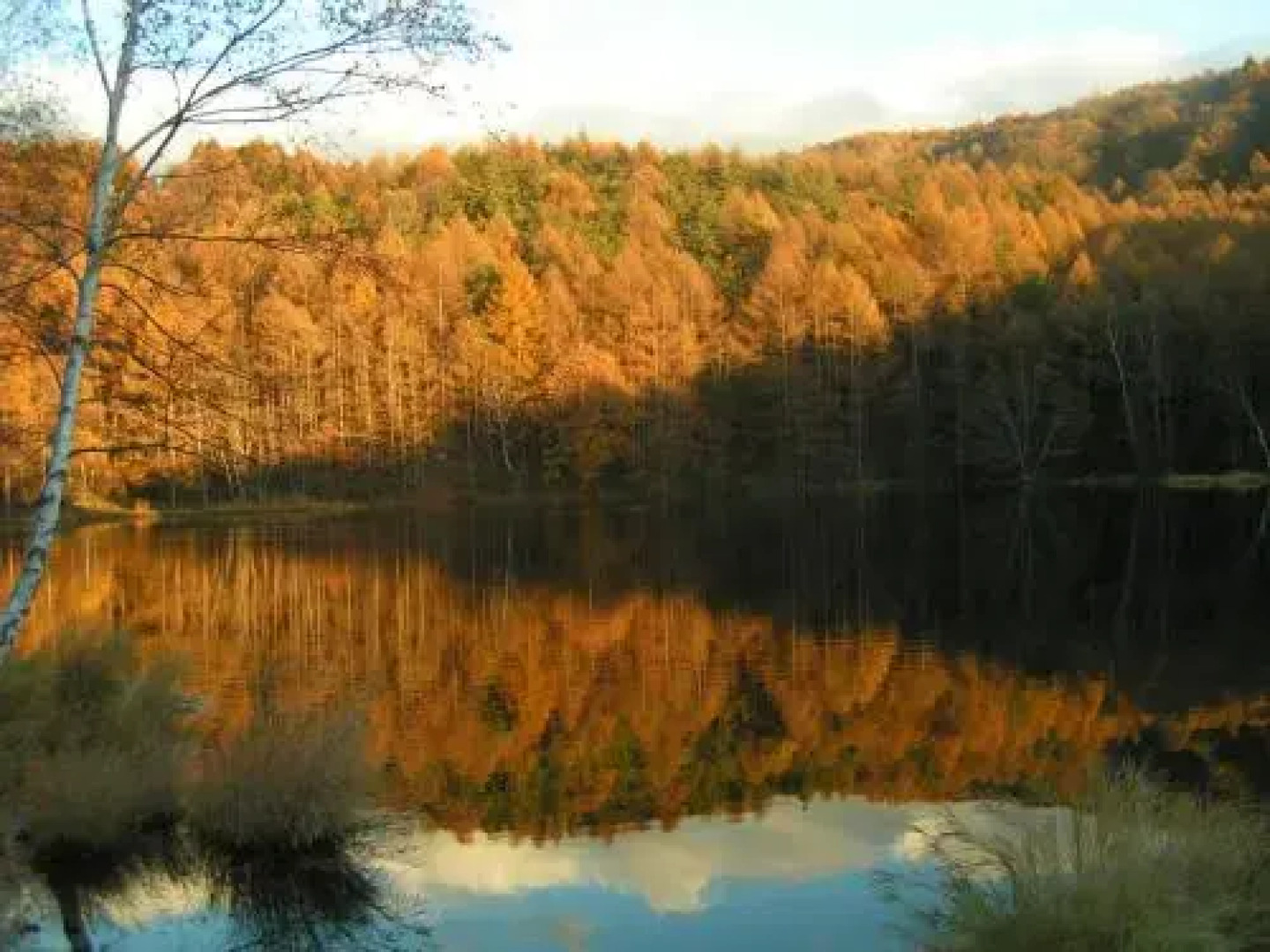 Petit Hotel of Log House Tombouctou