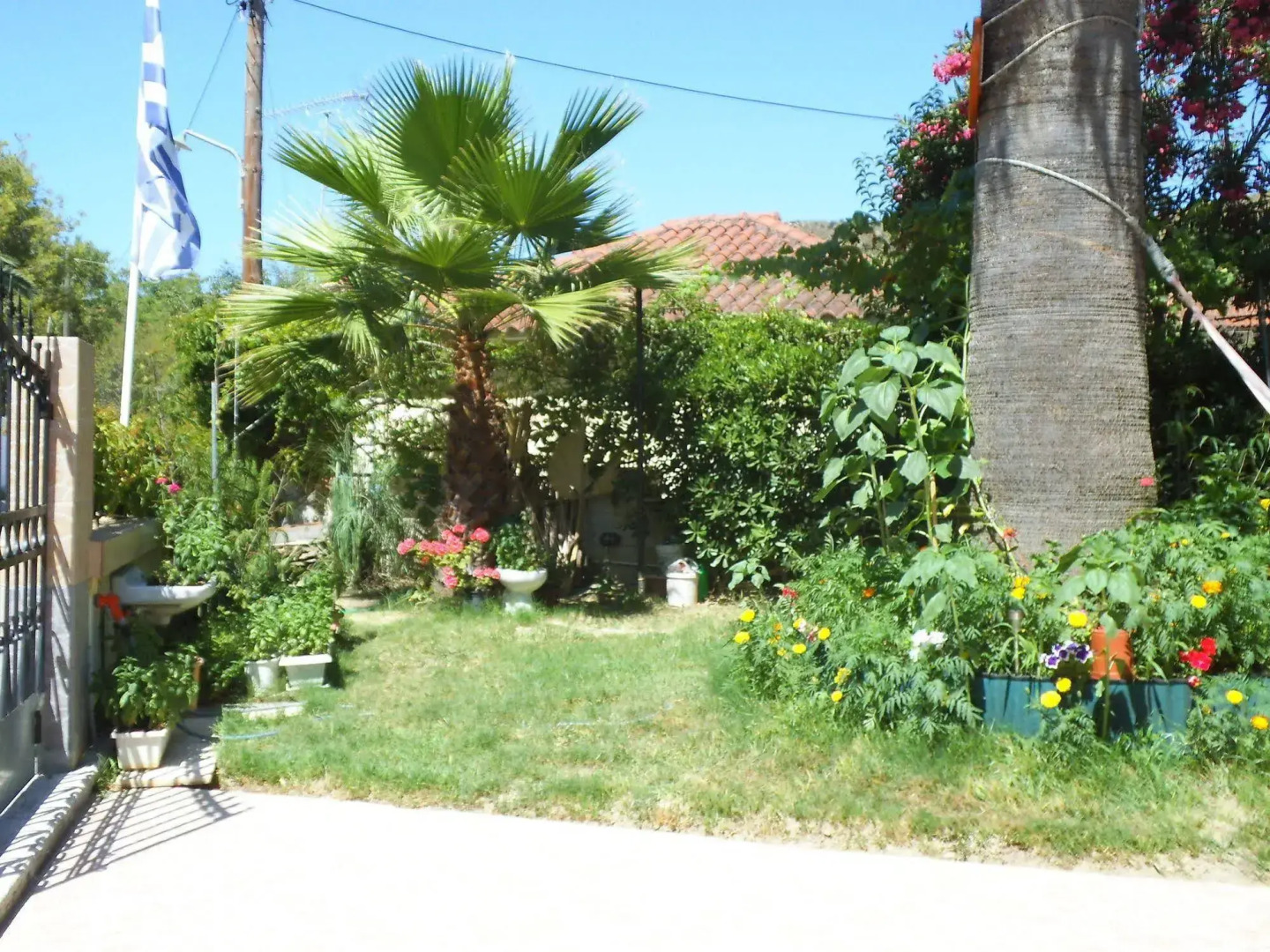 Villa Xenos Studios & Apartments