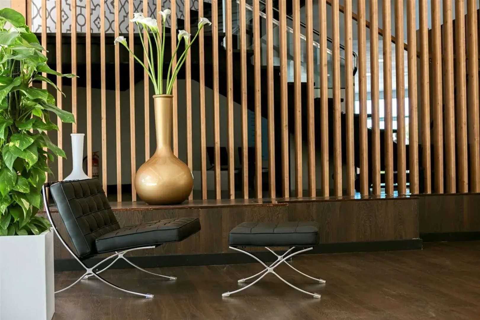 Globales Cala Blanca