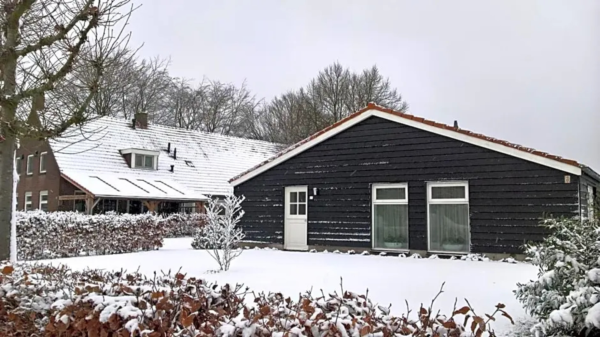 Boeren Burgers Buitenlui