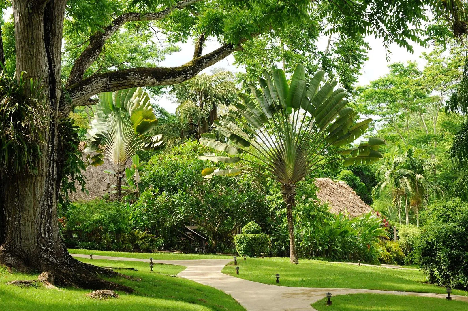 The Lodge at Chaa Creek