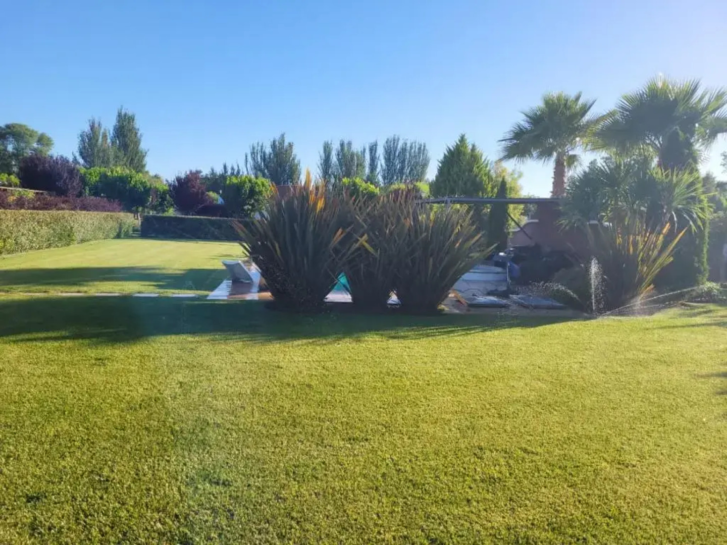 Sueï¿½os de Estacion