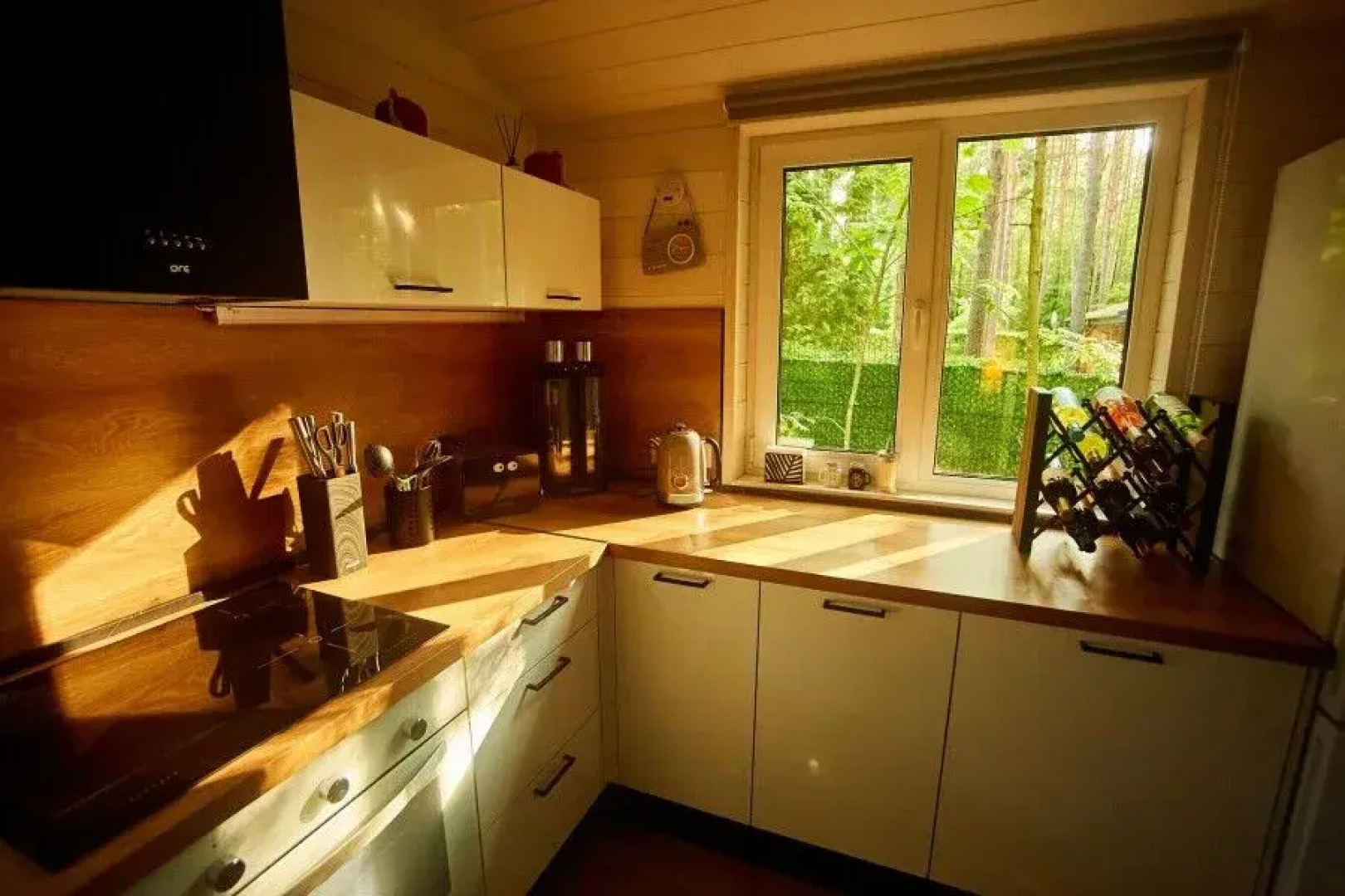 Репинские дачи