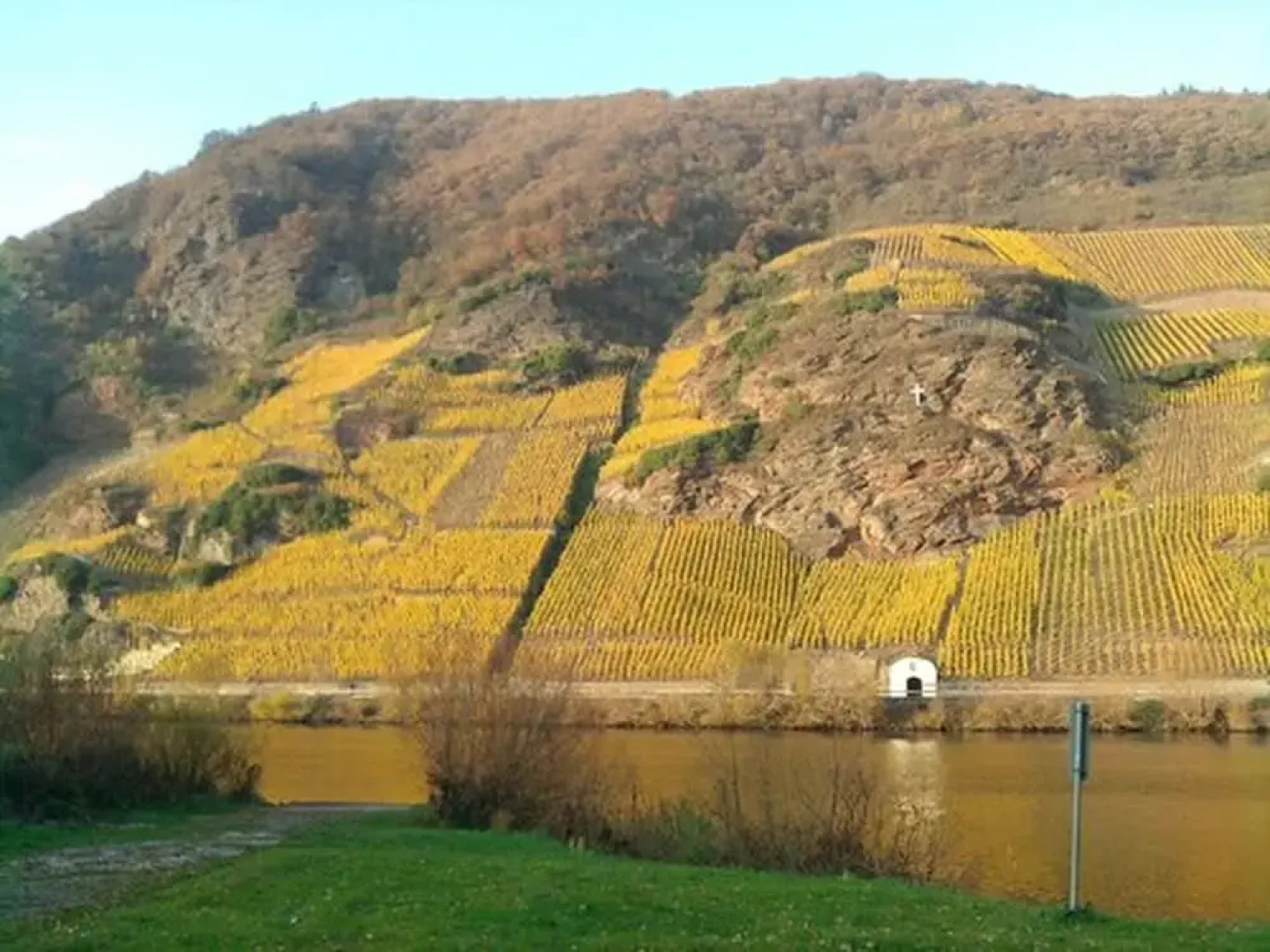 Weingut & Gästehaus Kaufmann-Schneider