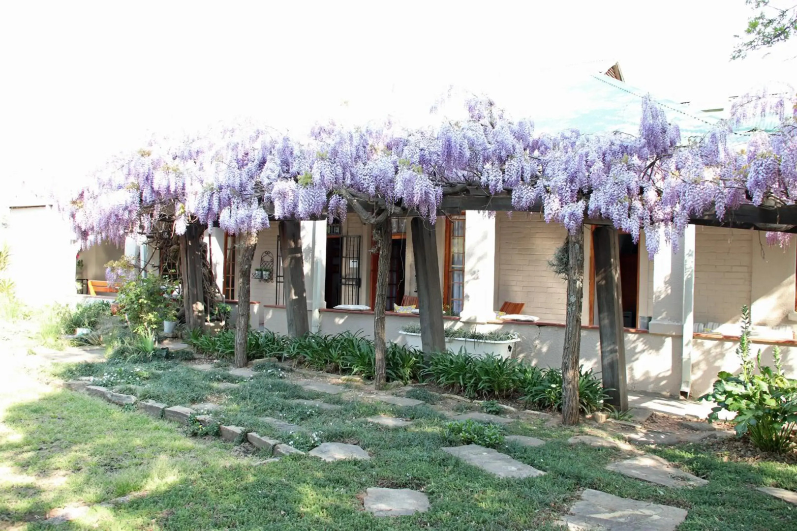 Top House Bed & Breakfast