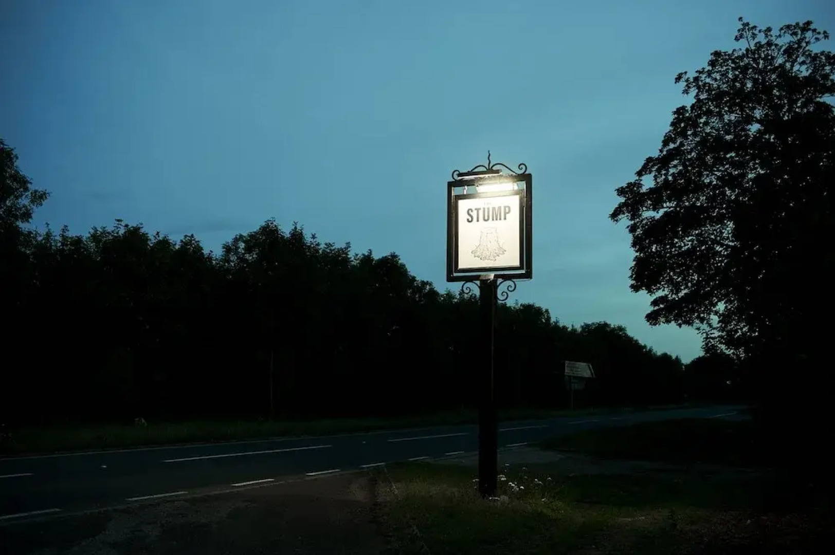 The Stump