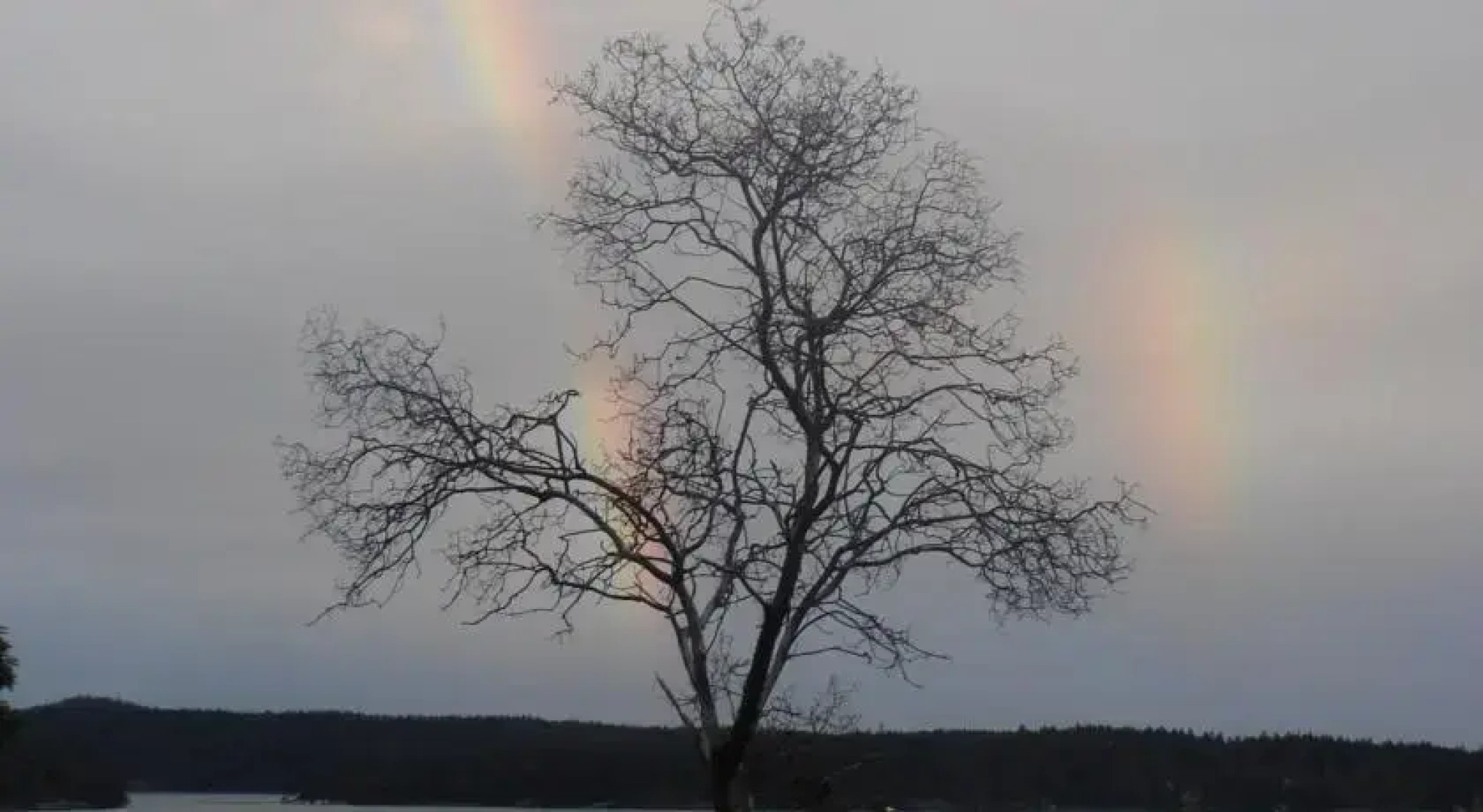 Grandma and Grandpas Getaway