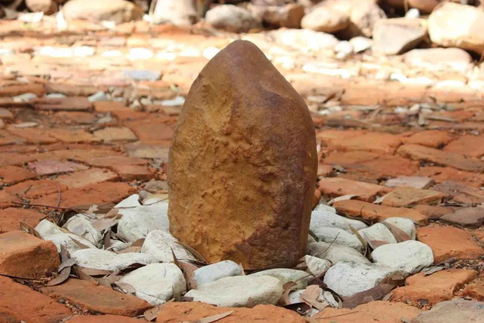 Welbedacht Game & Nature Reserve