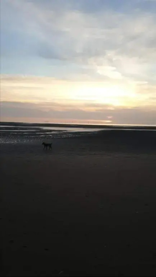 Sandy Pad's Apartments