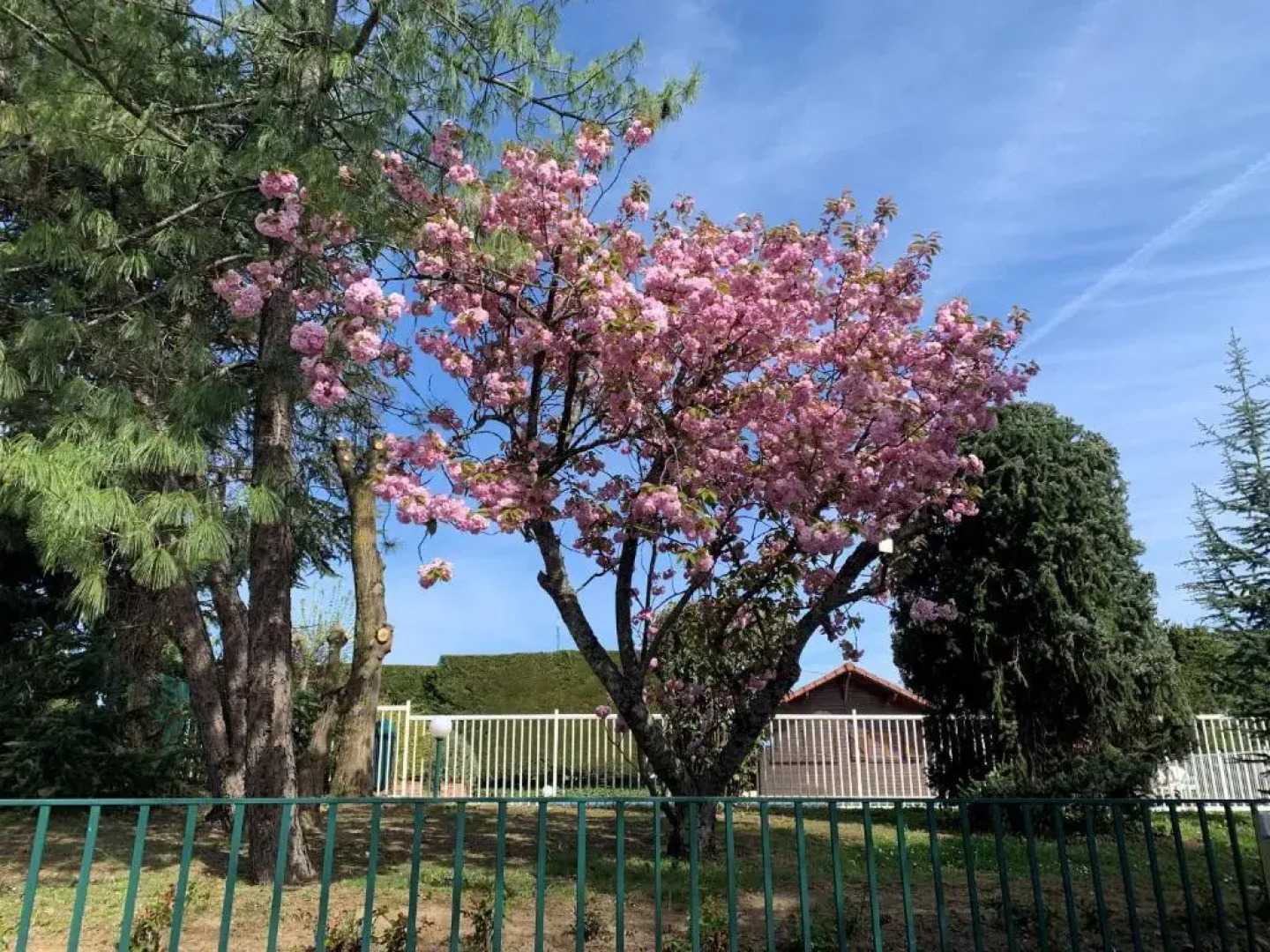 Brit Hotel Dak’Hôtel