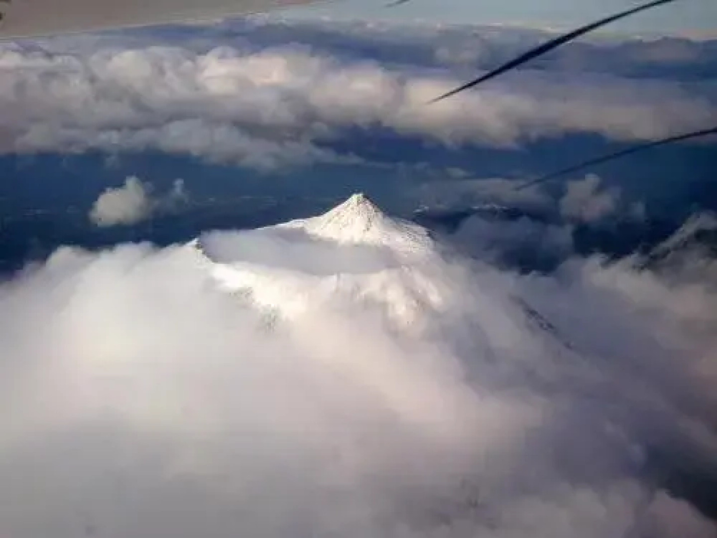 Vinea Lava Praia Campo Pico