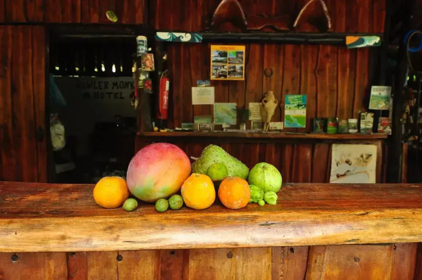 The Howler Monkey Hotel