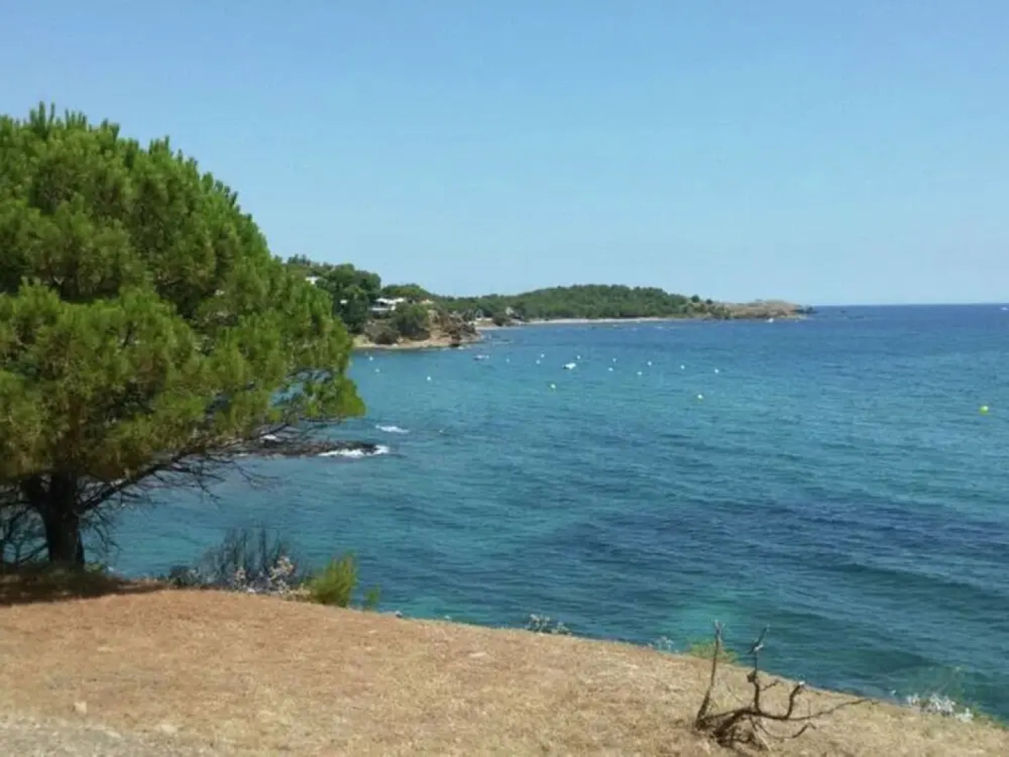 Cosy Apartment on Spacious Agriturismo, Near Beach and Culture