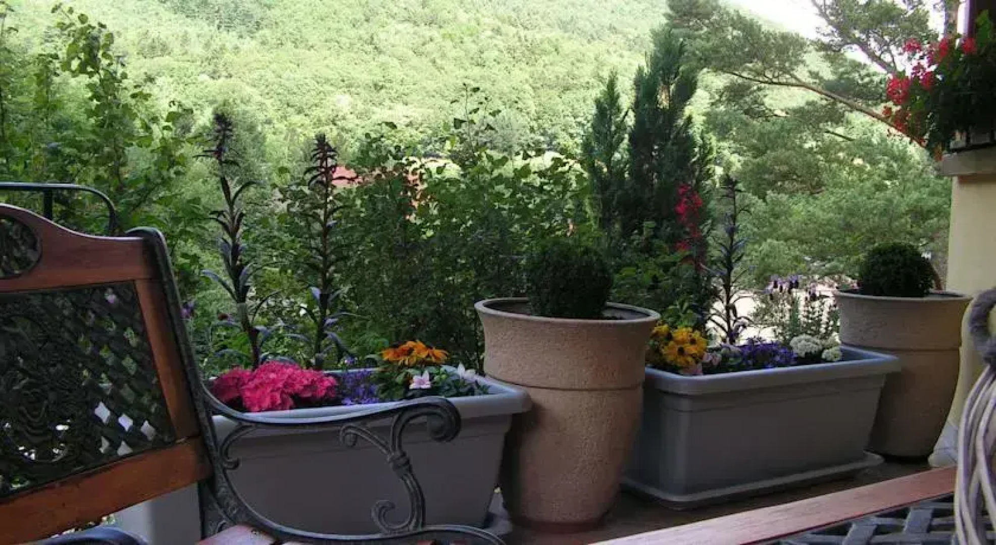 Maison en Lisière de Fôret