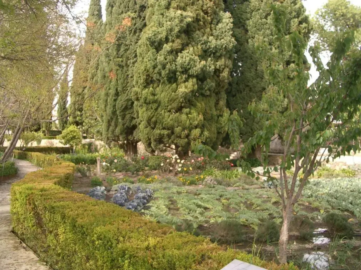 Apartments Altos del Castillo