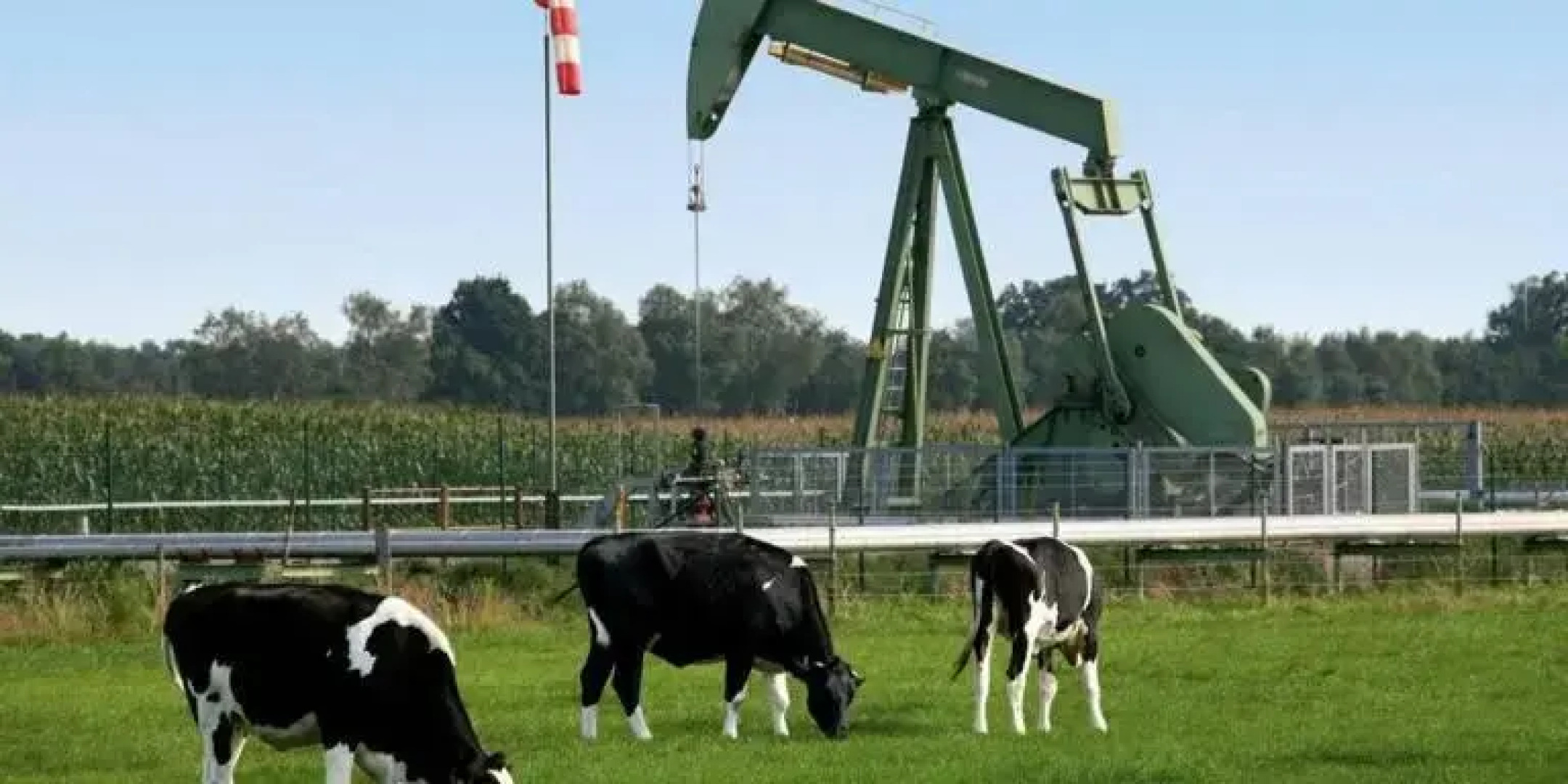 Ferienbauernhof De Slaaphoeve