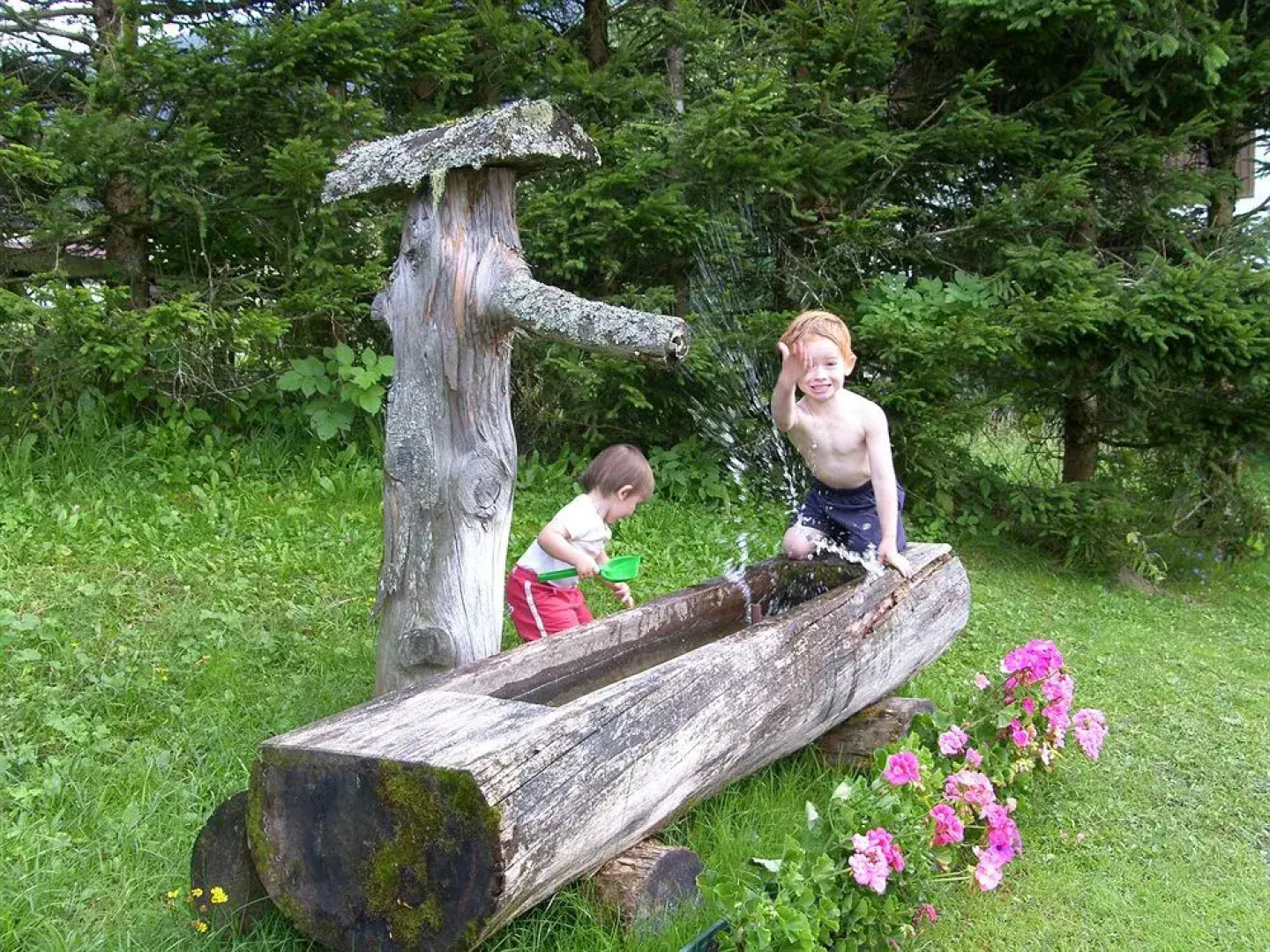 Pension - B&B Elisabeth Radstadt