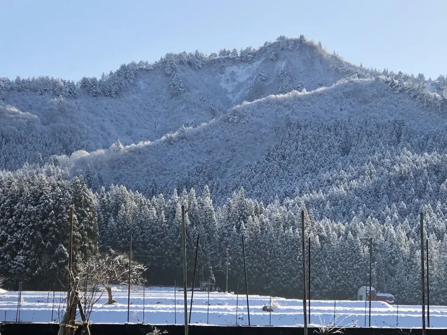 Guest House Vingt-neuf