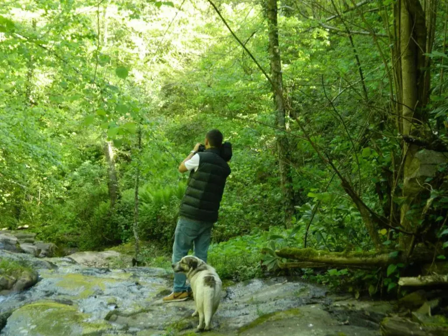 Ekolojik Güney Köy Pembe Köşk