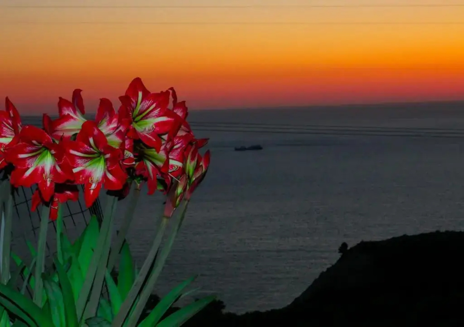 Sette Isole Countryside Apartment