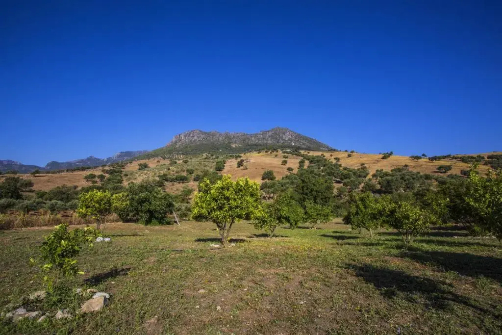 Casa Rural Huerta Terrona