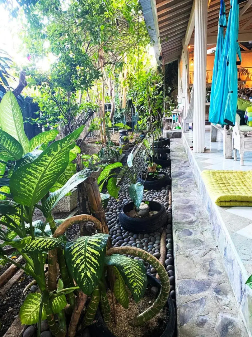 Shady Grove Healing Centre and Homestay