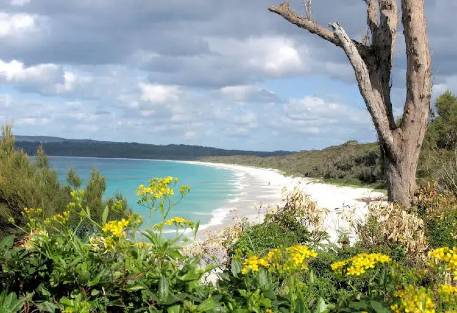 Walters Holiday Flats