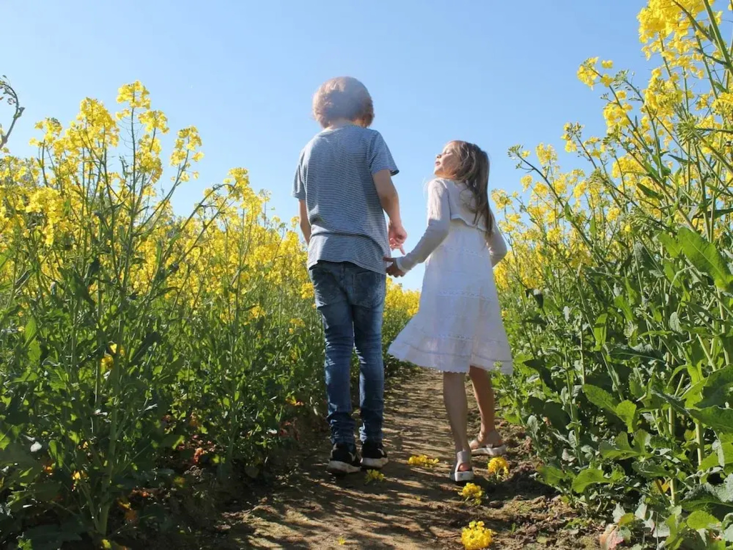 Gruppenurlaub im Ferienhaus in Zierow fur 12 Gaste