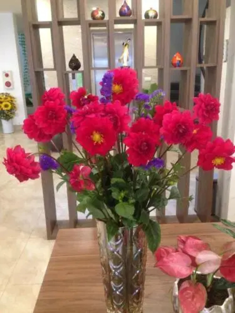 Rosa Villa Hotel & Apartment