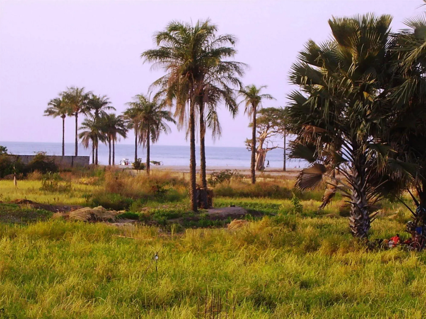 Mansea Beach Hotel and Resort