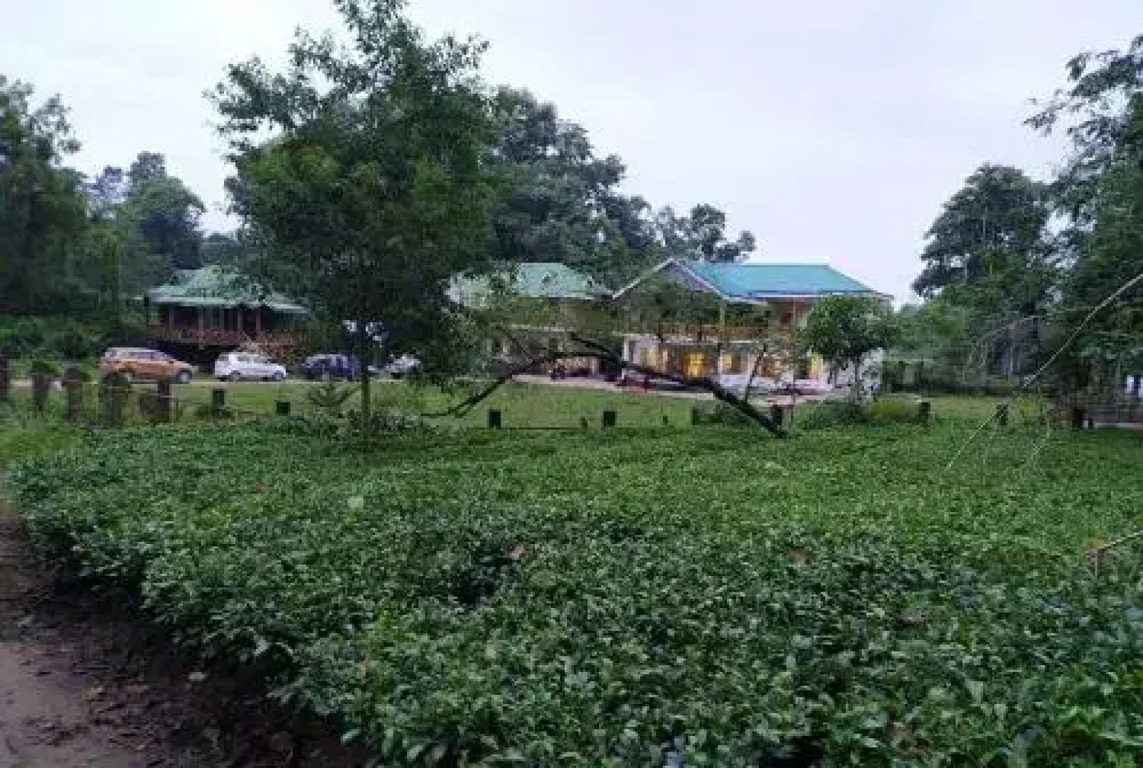 Homocation Kadambini Jungle Resort