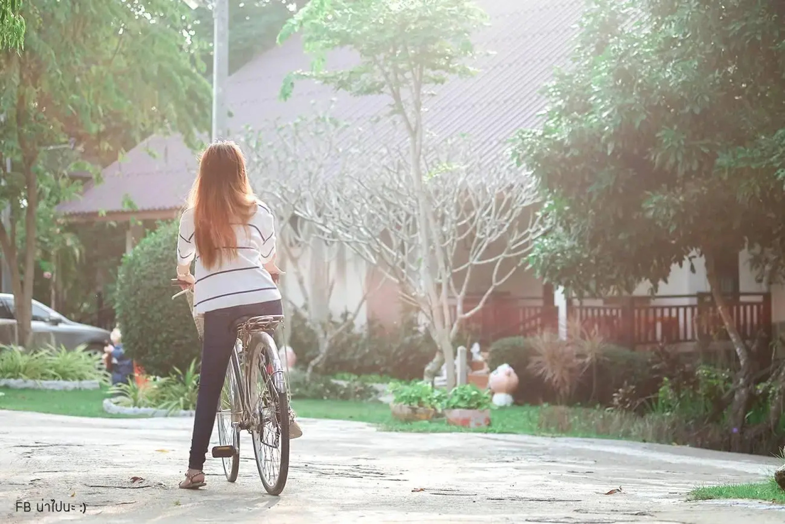 Silver Garden Resort