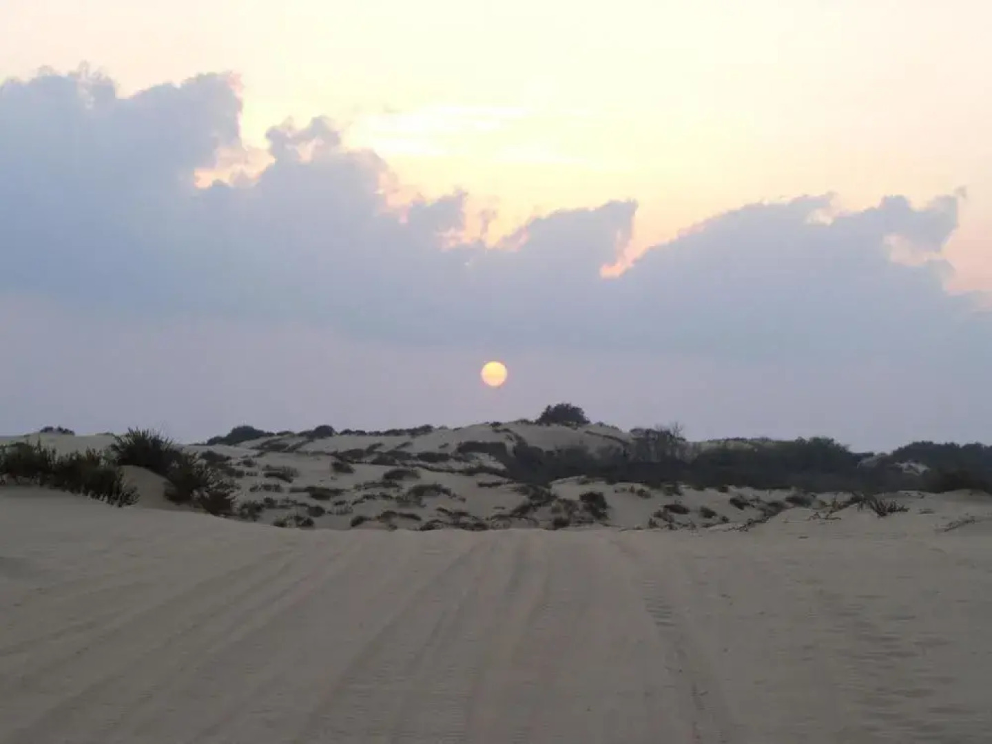 Dan Gardens Ashkelon