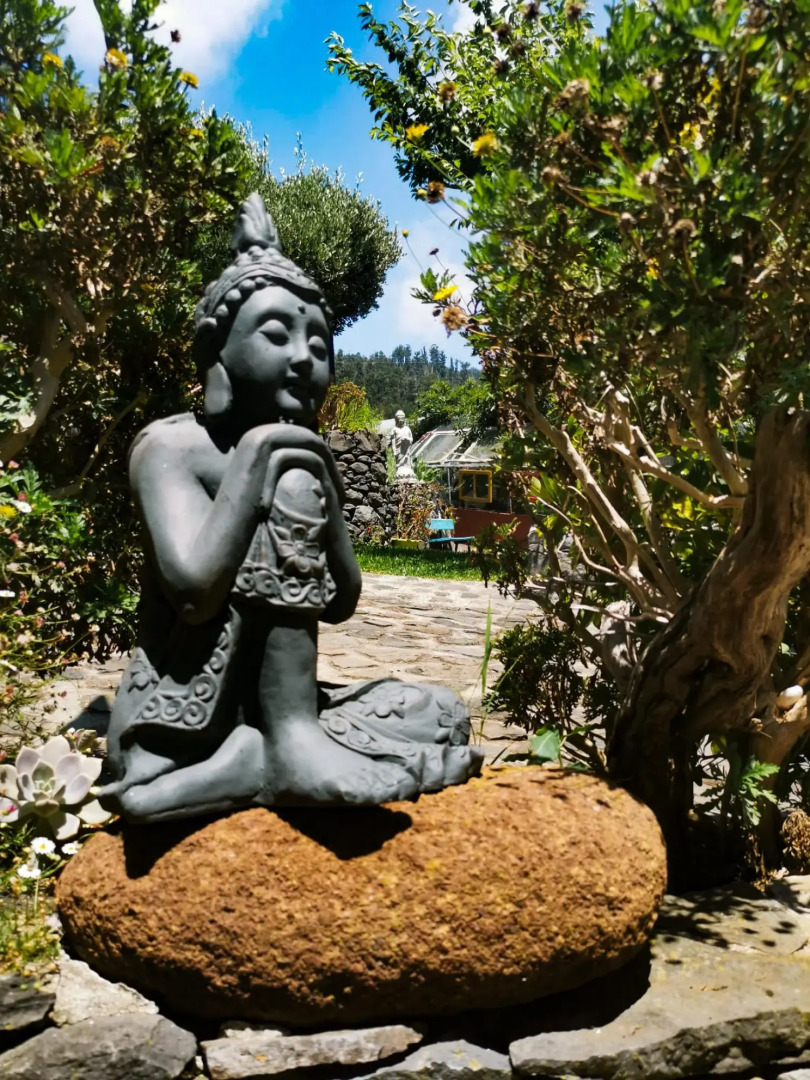 Casas Maravilha - O Ninho by Homie