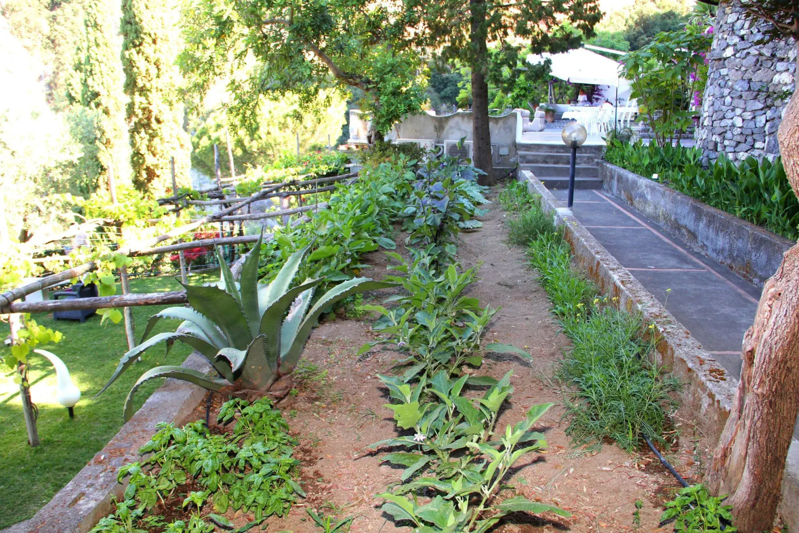 I Giardini Dei Sensi