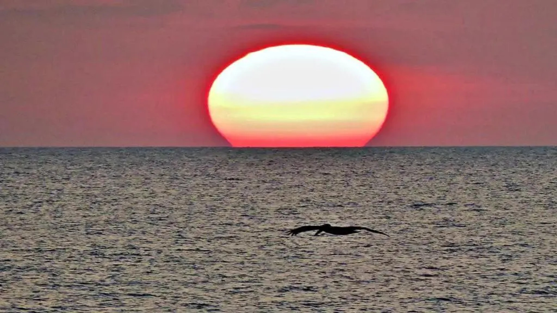 Ocean Walk Resort 1007