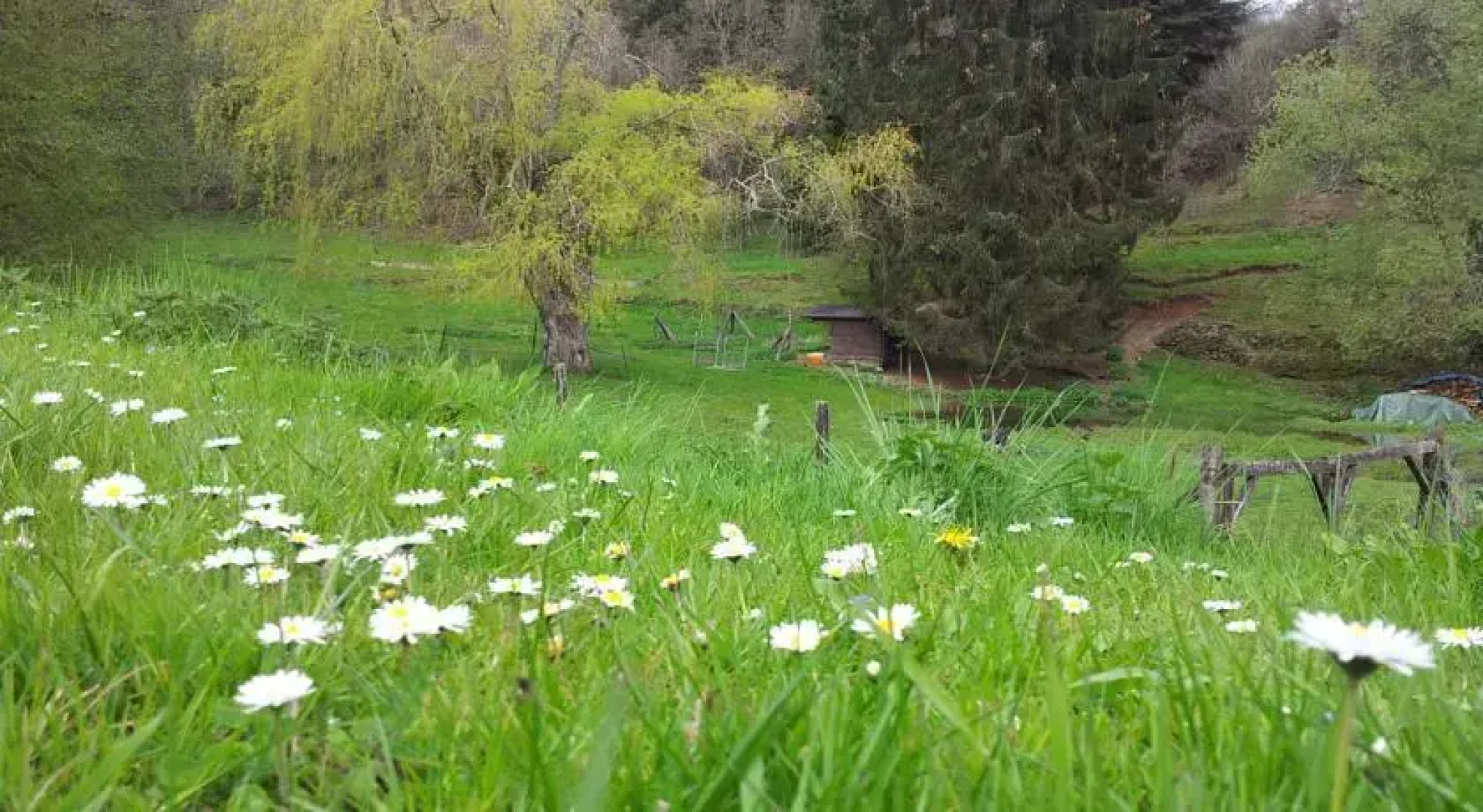B&B Le Clos du Père Finet